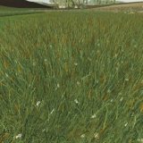 FS19 GRASS TEXTURE V1.0.0.0 - FS 19 Textures Mod Download