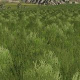 FS19 Grass texture v1.0 - FS 19 Textures Mod Download