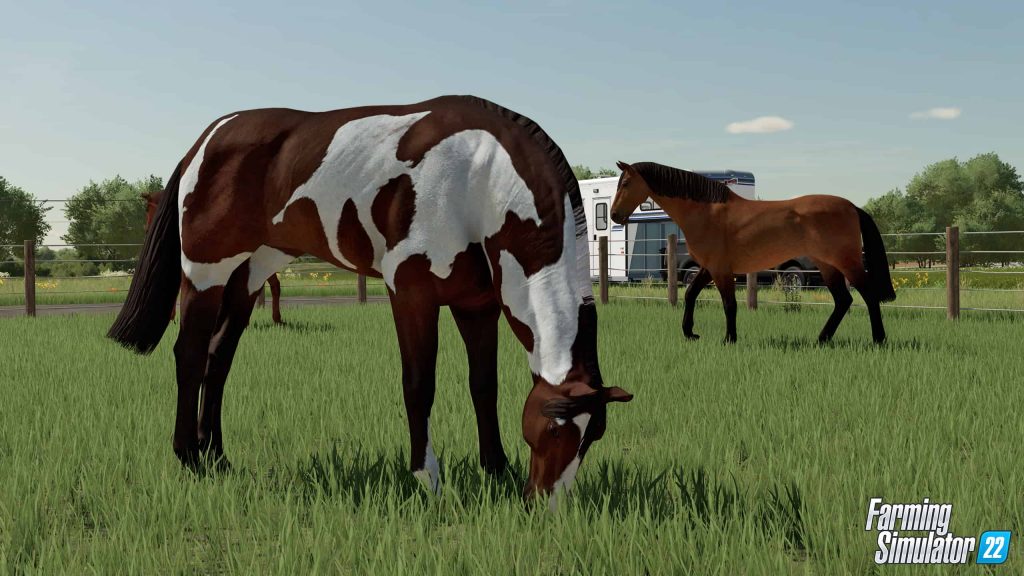 FS22 Farm Animals & Wildlife (8) - Farming simulator 19 / 17 / 15 Mod